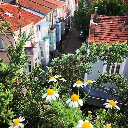 Apartmanhotel Elele Aparts Isztambul